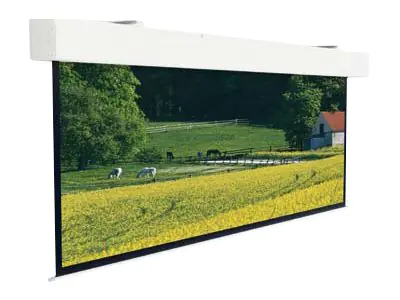 Projecta Elpro Large Electrol Wide Format - Leinwand - Deckenmontage möglich, geeignet für