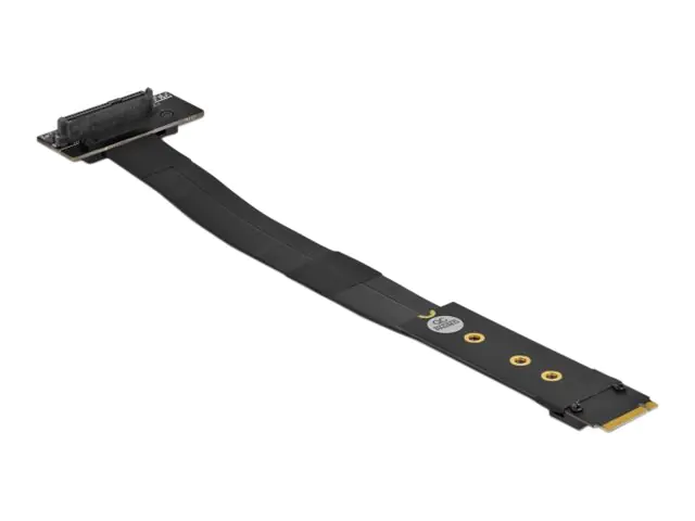 Delock - Schnittstellenadapter - U.2 NVMe - M.2 Card