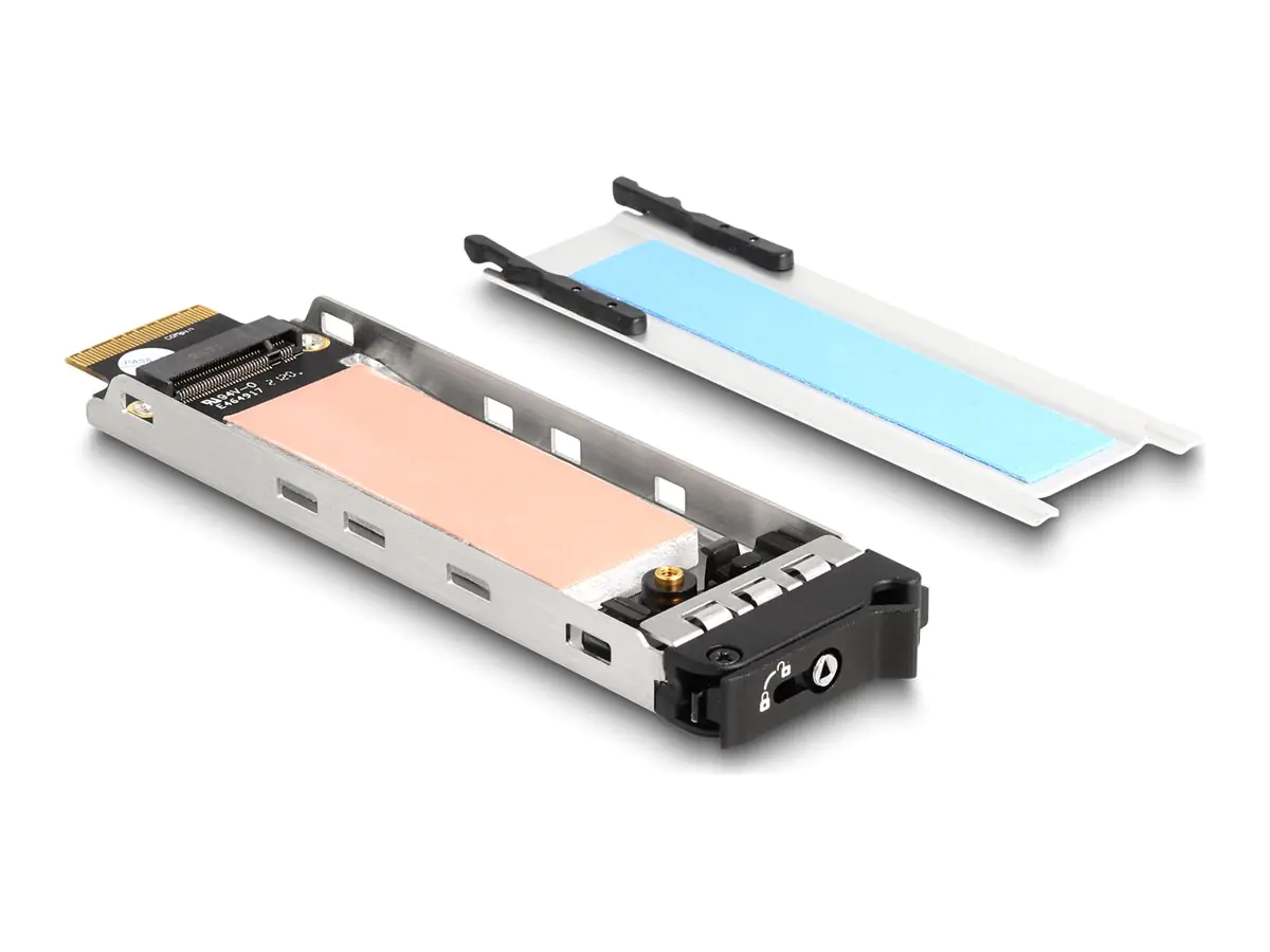 Delock - Festplattenfach - M.2 NVMe Card