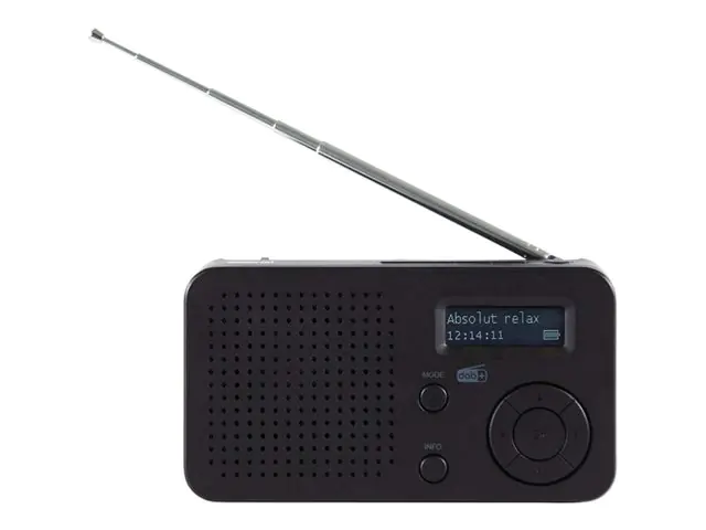Telestar DABMAN 17 - Tragbares DAB-Radio - Schwarz Bluetooth Schwarz