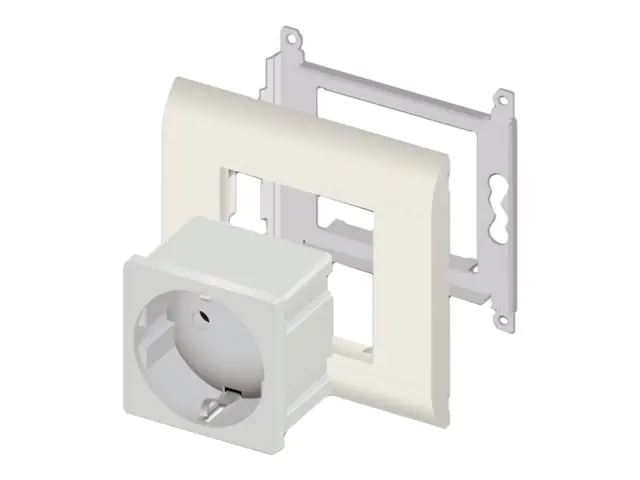 Delock - Easy 45 - Steckdose - 2P+E - Typ F - mit Verschluss - 1 Steckdose - 16 A - Wechselstrom 250 V - weiß, RAL 9003 (Packung mit 10)