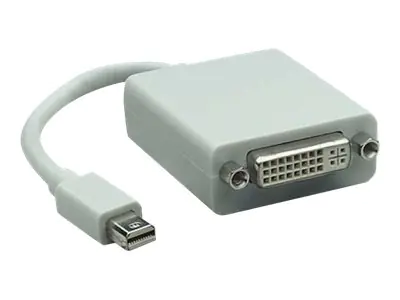 Techly DisplayPort-Adapter - Dual Link - Mini DisplayPort (M)