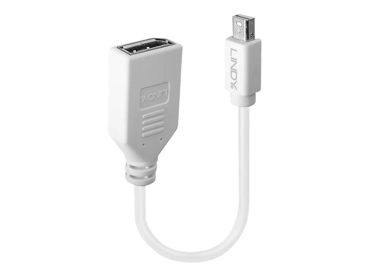 Lindy - DisplayPort-Adapter - Mini DisplayPort (M) bis DisplayPort (W) - 15 cm - weiß Lindy - DisplayPort-Adapter - Mini DisplayPort (M) bis DisplayPort (W) - 15 cm - weiß