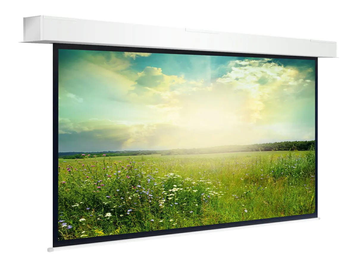 Projecta Descender Large Electrol WIDE Format - Projektionsfläche - 506 cm (199")
