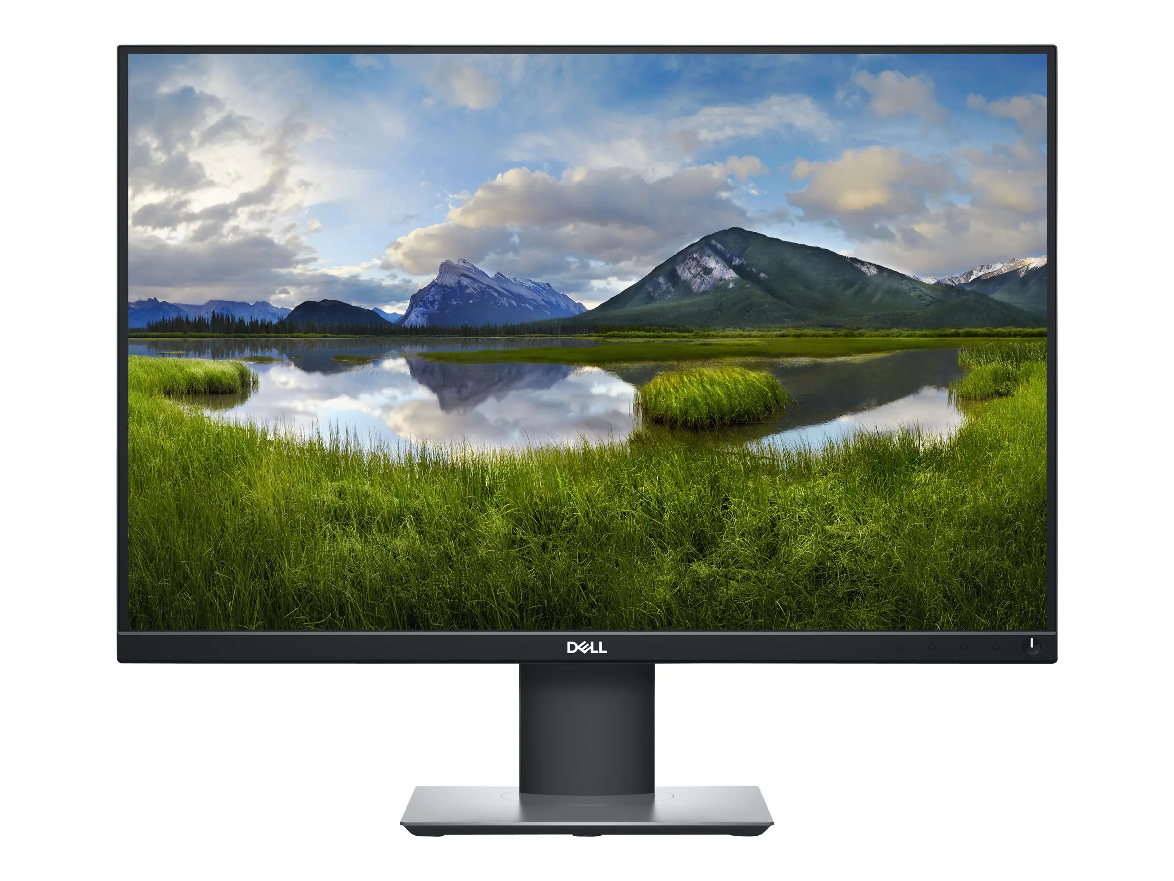 Dell P2421 - LED-Monitor - 61.13 cm (24.1") - 1920 x 1200 WUXGA @ 60 Hz - IPS - 300 cd/m² - 1000:1 - 5 ms - HDMI, DVI, DisplayPort, VGA