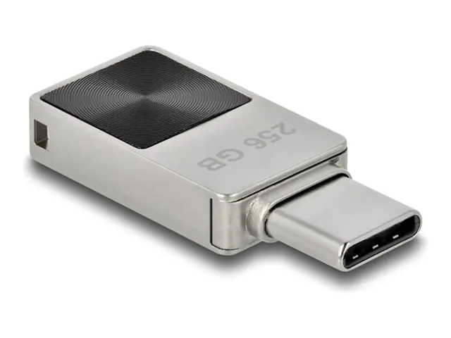 Delock - USB-Flash-Laufwerk - 256 GB - USB-C Delock - USB-Flash-Laufwerk - 256 GB - USB-C