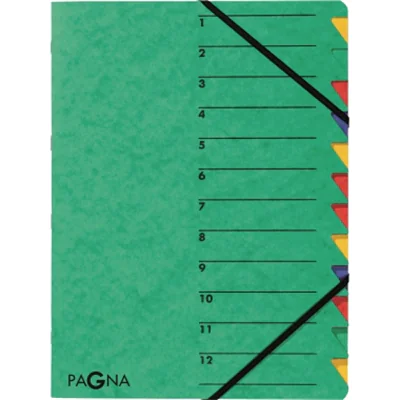 PAGNA Ordnungsmappe EASY 24131-08 DIN A4 12Fächer Pressspan grün PAGNA Ordnungsmappe EASY 24131-08 DIN A4 12Fächer Pressspan grün