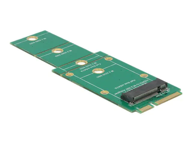 Delock Adapter M.2 NGFF > mSATA - Speicher-Controller - M.2 - M.2 Card - mSATA