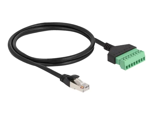 Delock - Netzwerkkabel - RJ-45 (M) zu 8-polige Anschlussleiste - 1 m - UTP - CAT 6 - ohne Haken - Schwarz/Grün