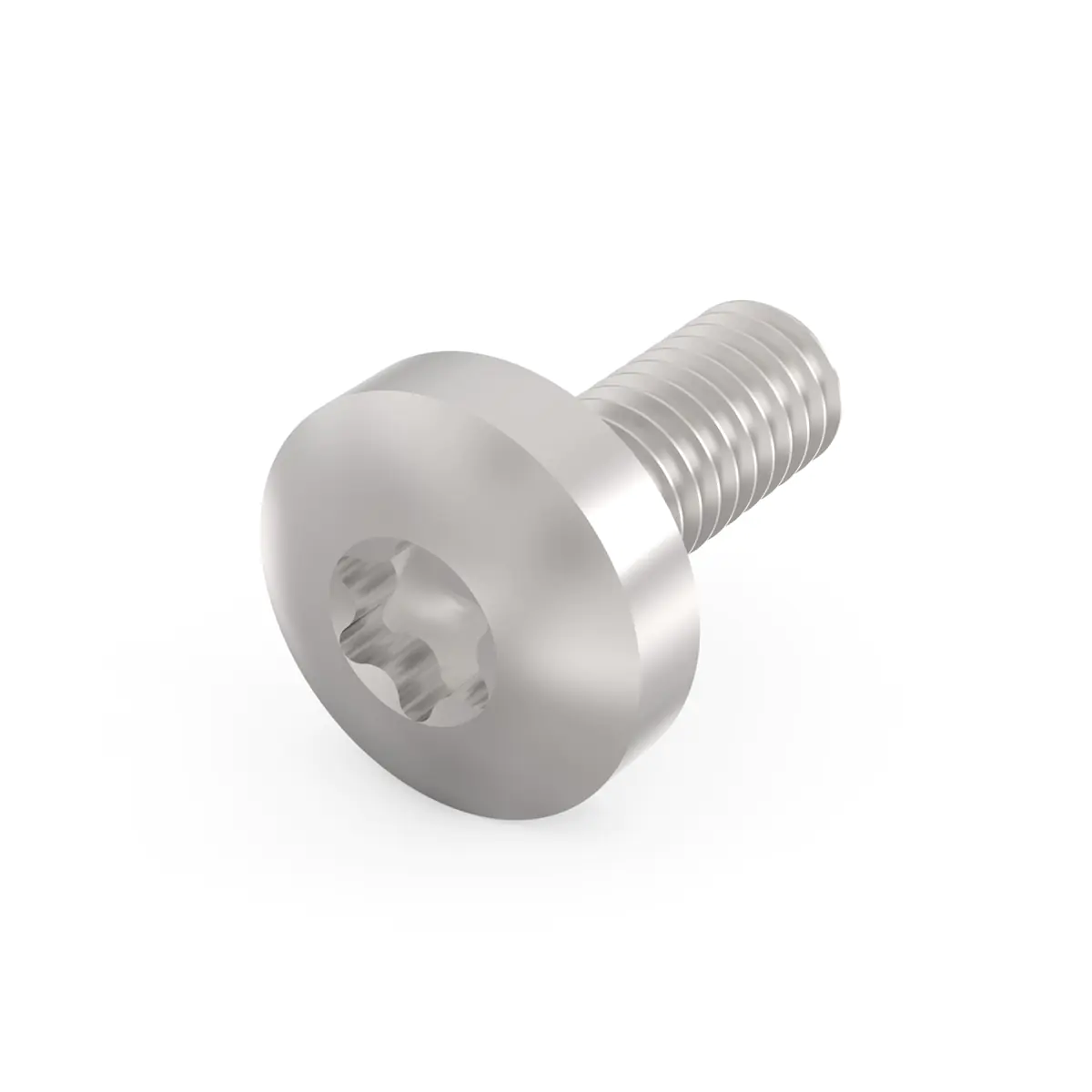 SCHROFF SCREW TORX M4X10 E/PRO (100PC/KIT)