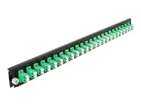 Delock Rack-Montageblech für Glasfaser-Spleißbox - Vorderseite - LC SM X 24 - grün - 1U - 48.3 cm (