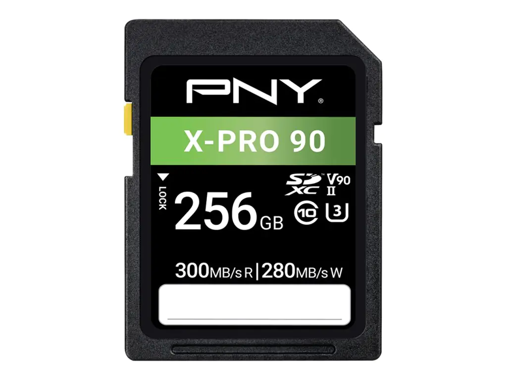 PNY X-PRO 90 - Flash-Speicherkarte - 256 GB