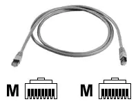 Telegärtner Karl Gärtner Telegärtner - Patch -Kabel - RJ-45 (M) zu RJ-45 (M)