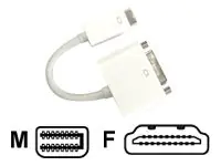 Jou Jye Computer AVC 228 - Videoadapter - HDMI weiblich zu Mini-DVI männlich - 10 cm - weiß