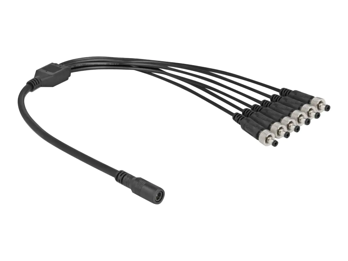 Delock Netz-Splitter - Gleichstromstecker 5,5 x 2,1 mm (W) 86591