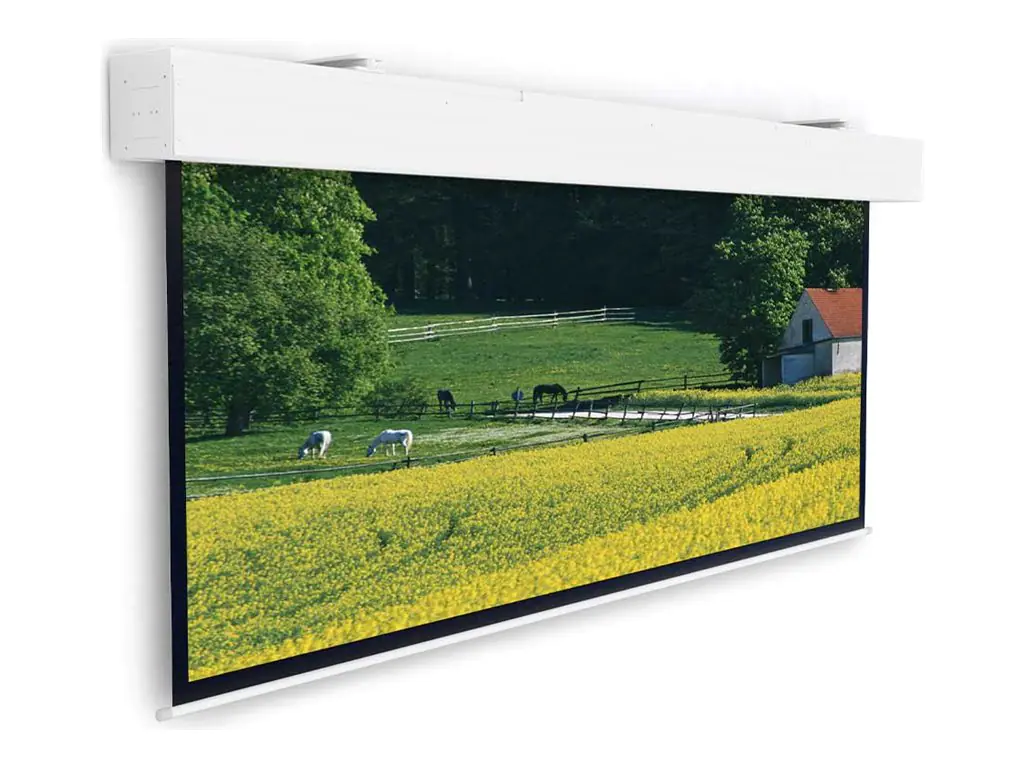 Projecta Da-Lite Elpro Large Electrol - Leinwand - Deckenmontage möglich, geeignet für Wandmontage