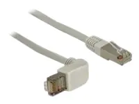 Delock Patch-Kabel - RJ-45 (M) bis RJ-45 (M)