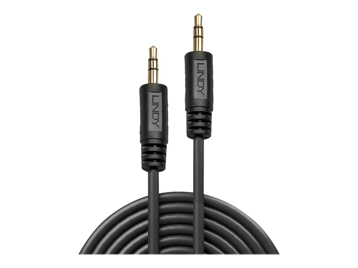Lindy Premium - Audiokabel - Stereo Mini-Klinkenstecker (M) bis Stereo Mini-Klinkenstecker (M) - 5 m - abgeschirmt - Schwarz - geformt