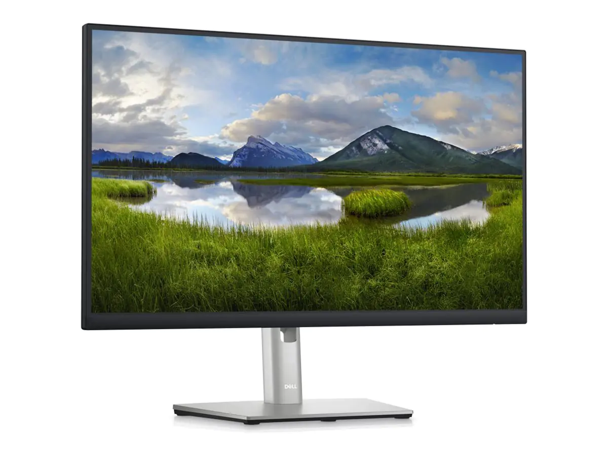 Dell P2423DE - LED-Monitor - 61 cm (24") - 2560 DELL-P2423DE