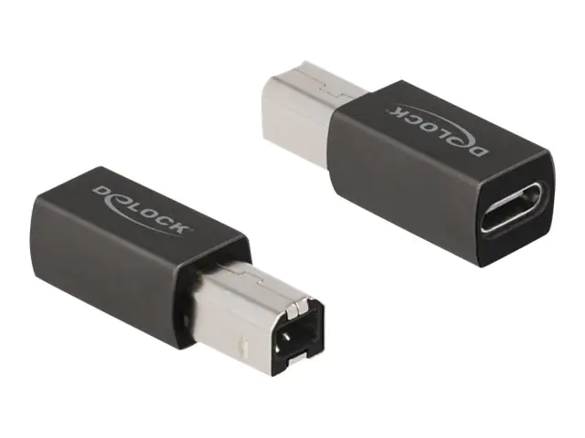 Delock - USB-Adapter - 24 pin USB-C (W) zu USB Typ B (M) - USB 2.0 - Anthrazit