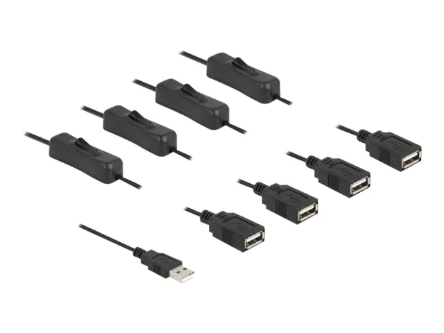 Delock - Netz-Splitter - USB (M) zu USB (W) - 5 V - 2 A - 1 m - Schwarz