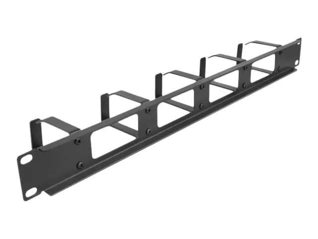 Delock Kabelführungsplatte für Schaltschrank - Schwarz - 1U - 48.3 cm (19")