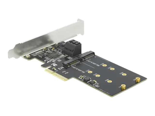 Delock 3 port SATA and 2 slot M.2 Key B PCI Express x4 Card - Low Profile Form Factor - Speicher-Controller - M.2 - M.2 Card / SATA 6Gb/s - Low-Profile - PCIe 3.0 x4