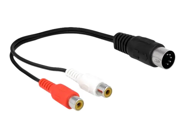 Delock - Audiokabel - DIN 5-polig männlich zu RCA weiblich - 20 cm