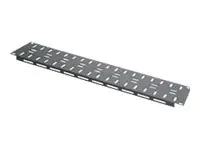 Middle Atlantic Products Middle Atlantic LBP-LTF - Kabelmanagementführung - schwarze