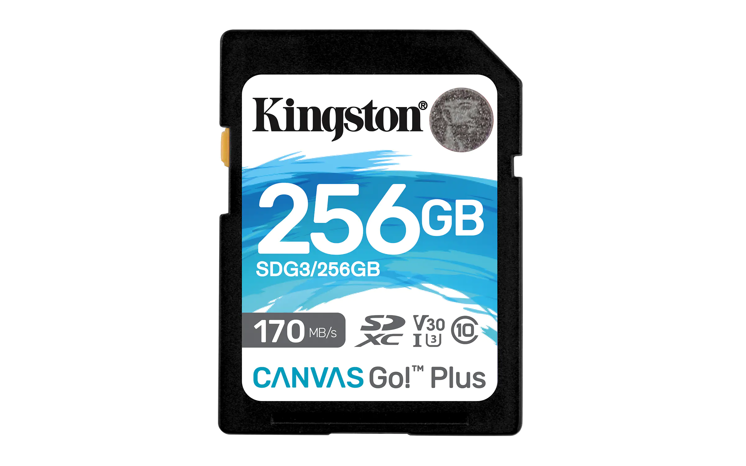 Kingston Canvas Go! Plus - Flash-Speicherkarte - 256 GB - Video Class V30 / UHS-I U3 / Class10 - SDXC UHS-I