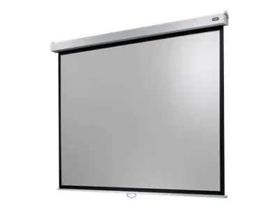 celexon Manual Professional Plus Data format - Leinwand - Deckenmontage möglich, geeignet für