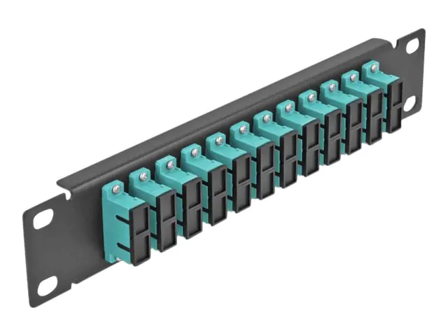 Delock - Patch Panel - SC MM X 12 - Schwarz - 1U - 25.4 cm (10")