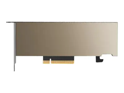 PNY NVIDIA - GPU-Rechenprozessor - A2 - 16 GB GDDR6 TCSA2MATX-PB