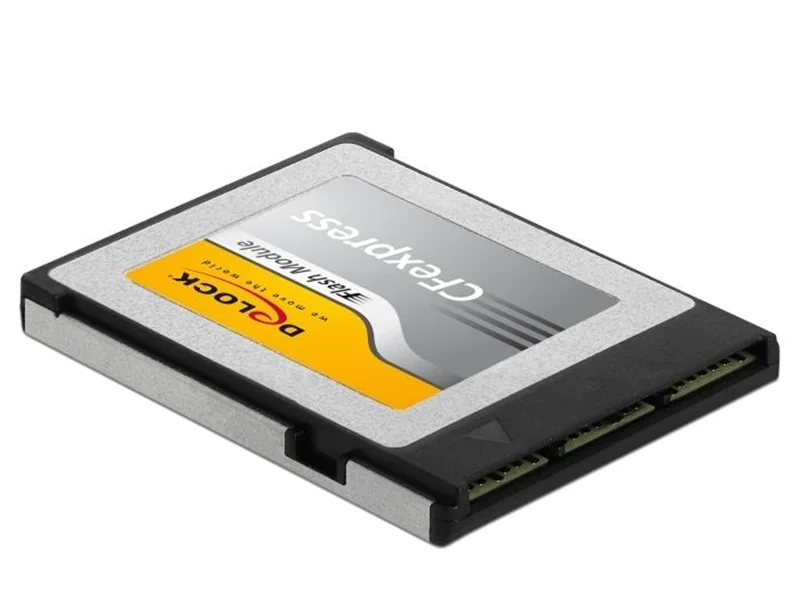 DeLOCK - Flash-Speicherkarte - 256 GB - CFexpress