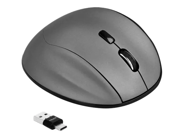 Delock - Maus - ergonomisch - Für Rechtshänder - optisch - 5 Tasten - kabellos - 2.4 GHz - USB / USB-C Funkempfänger - Schwarz, Anthrazit - retail