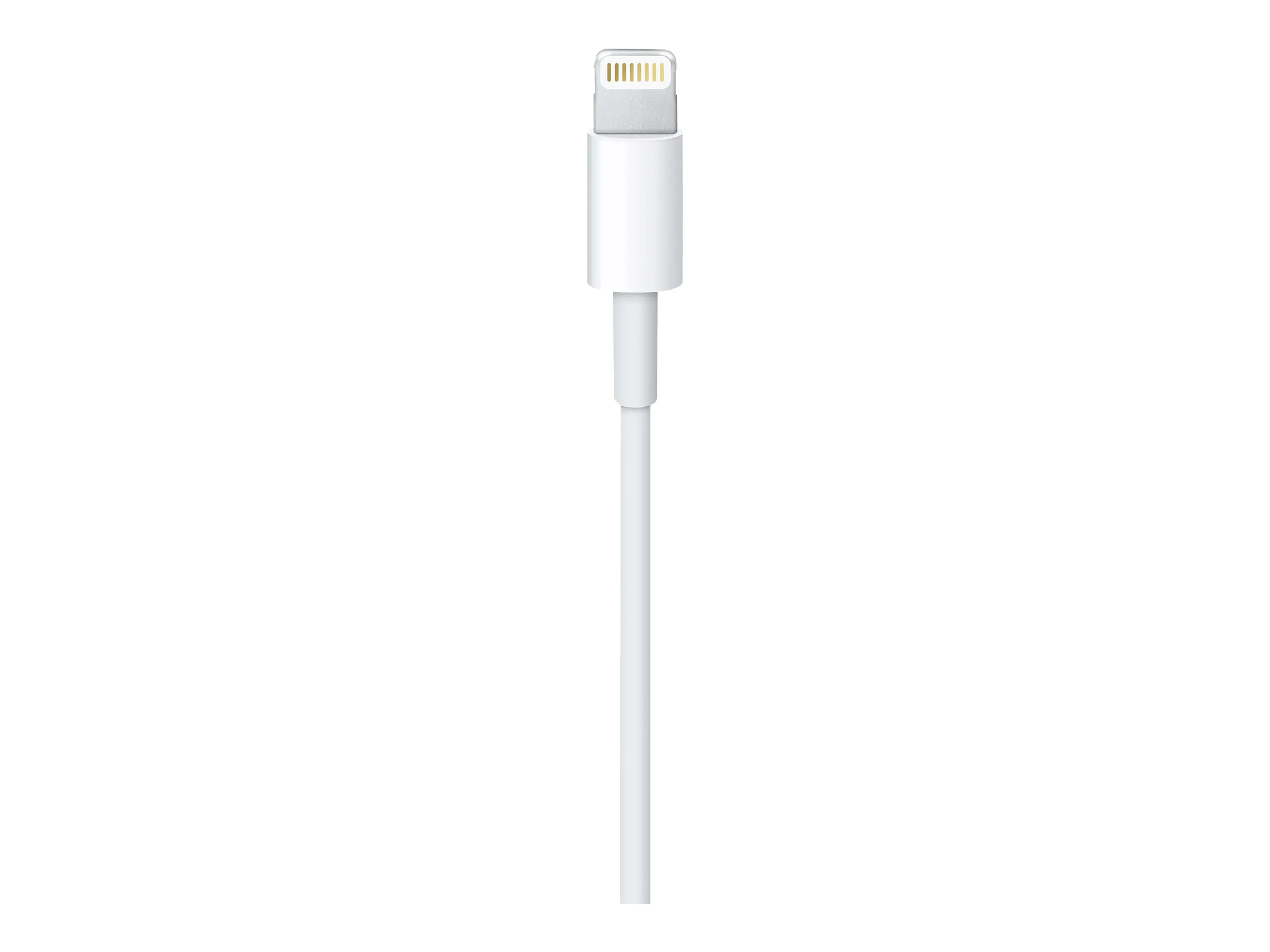 Apple - Lightning-Kabel - Lightning männlich zu USB männlich - 1 m