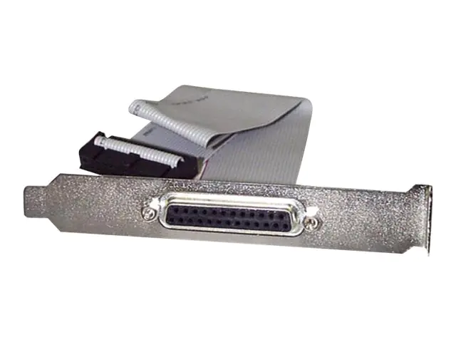 StarTech 40cm DB25 Parallel Buchse auf IDC 25 Pin Header Slotblech - Parallelport - DB-25 (W) zu IDC 26-polig (W) - 40.64 cm - Grau