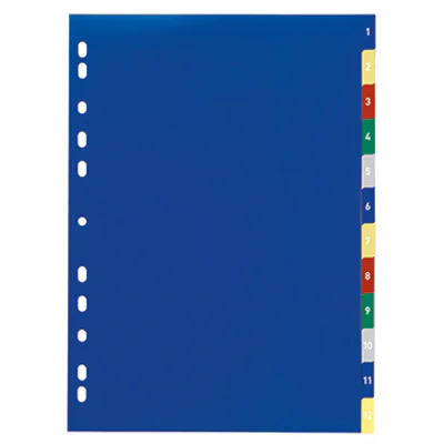 DURABLE Register 1-12 675027 DIN A4 PP farbig DURABLE Register 1-12 675027 DIN A4 PP farbig