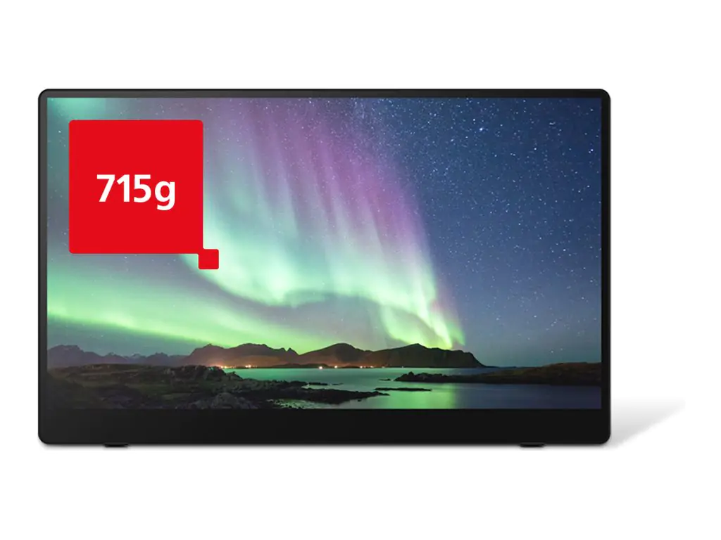 Ricoh 150BW - OLED-Monitor - 39.6 cm (15.6") - tragbar - Touchscreen - 1920 x 1080 Full HD (1080p) @ 60 Hz - 300 cd/m² - 100000:1 - 1 ms - 2xUSB-C - Lautsprecher