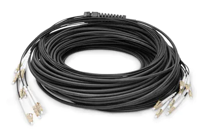Digitus - Kabelpeitsche - LC/UPC Multi-Modus (S) zu LC/UPC Multi-Modus (S) - 50 m - Glasfaser - 50/125 Mikrometer - OM4 - halogenfrei, innen/außen - Schwarz