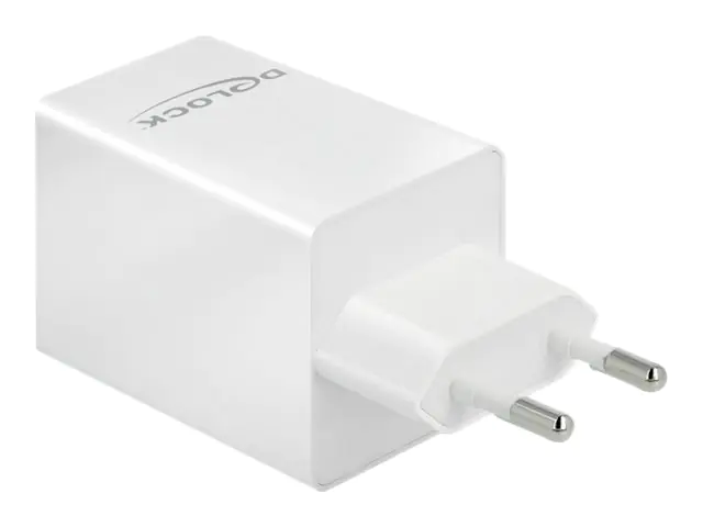 Delock - Netzteil - 48 Watt - 3 A - Fast Charge - 2 Ausgabeanschlussstellen (USB, 24 pin USB-C) - weiß