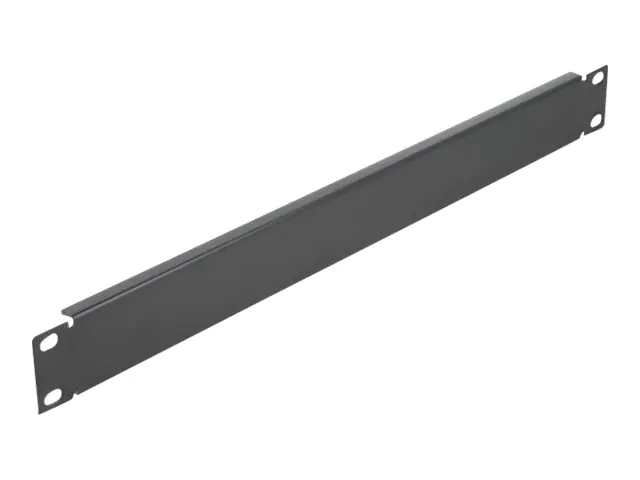 Delock Rack-Blindabdeckungsplatte - Schwarz - 1U - 48.3 cm (19")