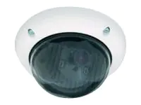 Mobotix D24M-Sec - Netzwerk-Überwachungskamera