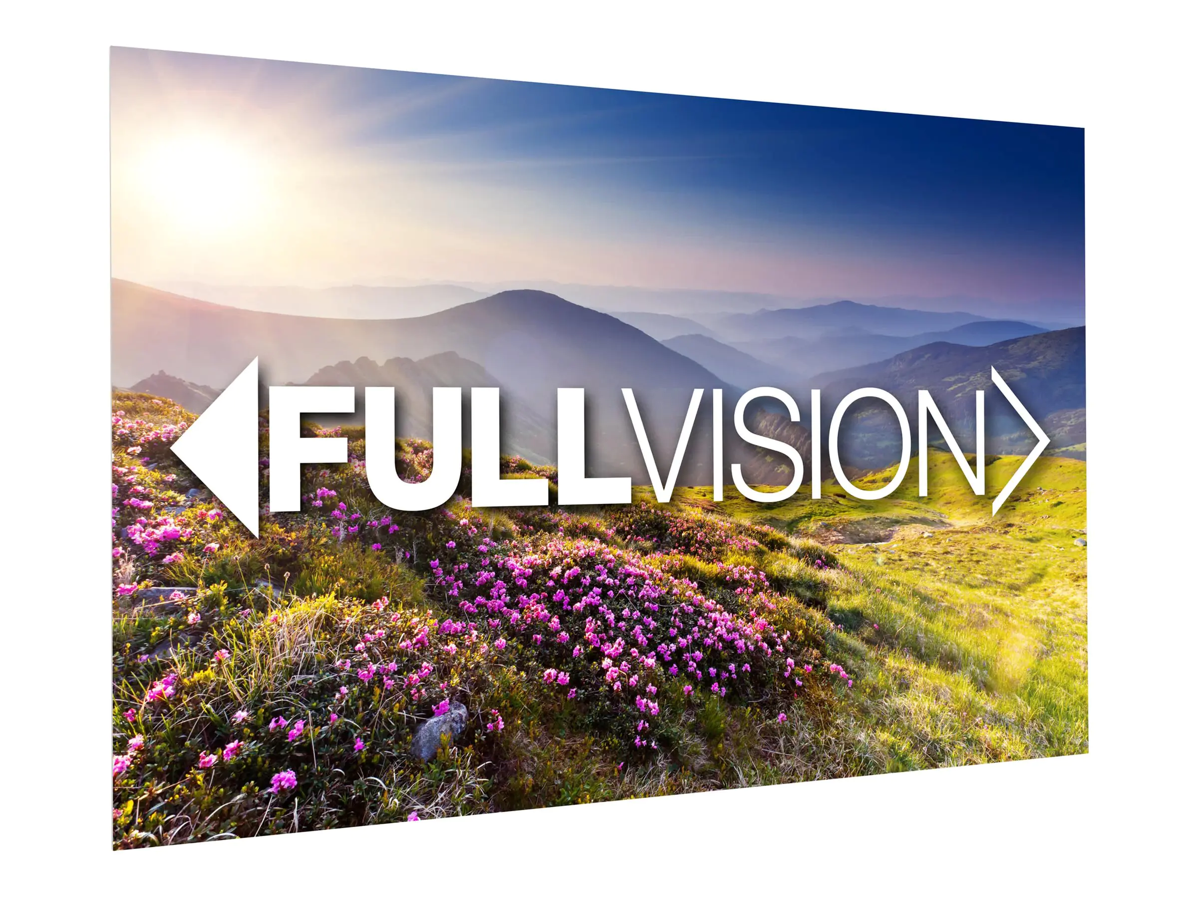 Projecta Da-Lite FullVision - Leinwand - geeignet für Wandmontage - 252 cm (99")