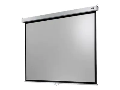 Celexon Manual Professional Plus Data format - Leinwand - Deckenmontage möglich, geeignet für Wandmontage - 300 cm (118") - 4:3 - mattweiß - weiß