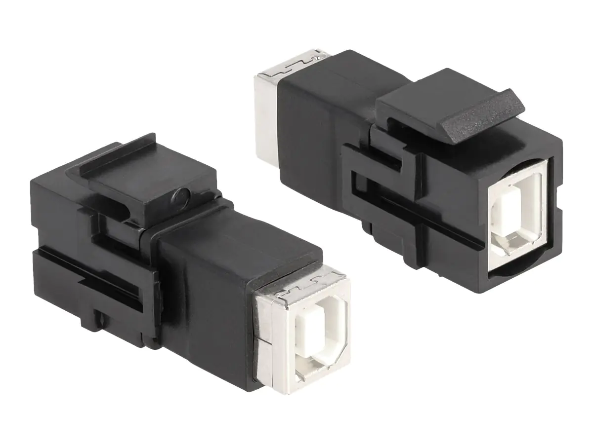 Delock Modulare Eingabe - USB Type A - Schwarz
