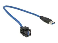Delock Modulare Eingabe - 50 cm - USB Type