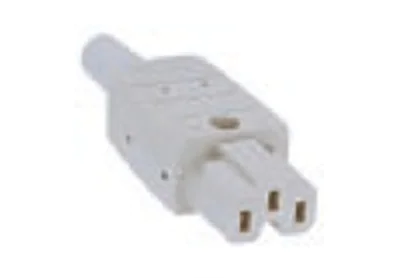 Bachmann 916.970 - C15 - Grau - 250 V - 10 A - 1 Stück(e)