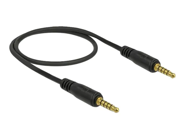 Delock - Audiokabel - 5-poliger Mini-Stecker männlich zu 5-poliger Mini-Stecker männlich - 50 cm - Schwarz