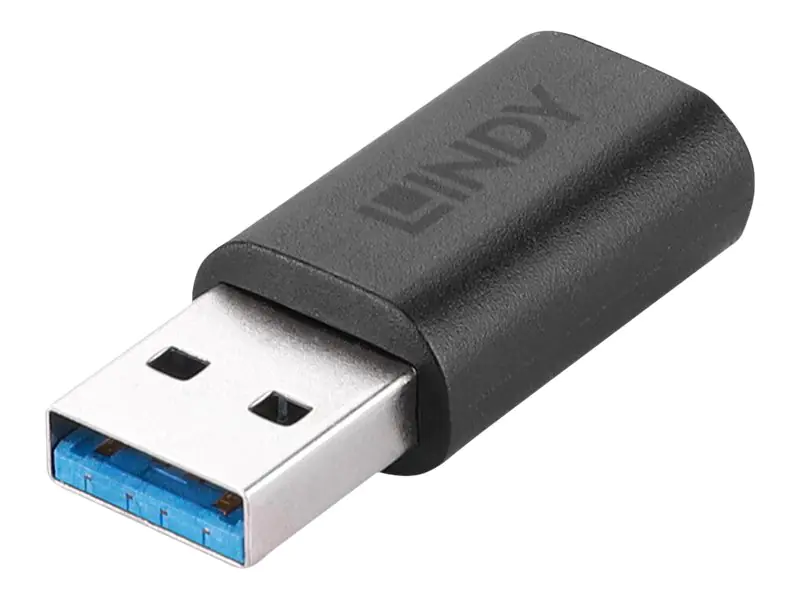 Lindy - USB-Adapter - USB Typ A (M) zu 24 pin USB-C (W) - USB 3.2 Gen 2 - Schwarz